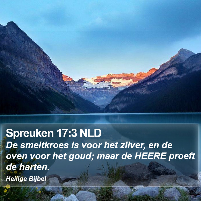 Spreuken 17:3 NLD Bible Study