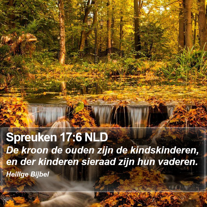 Spreuken 17:6 NLD Bible Study