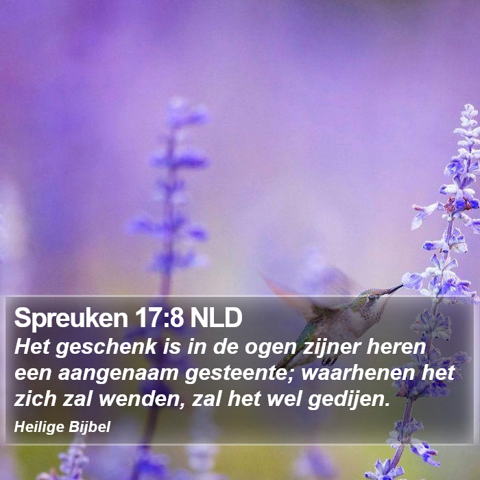 Spreuken 17:8 NLD Bible Study