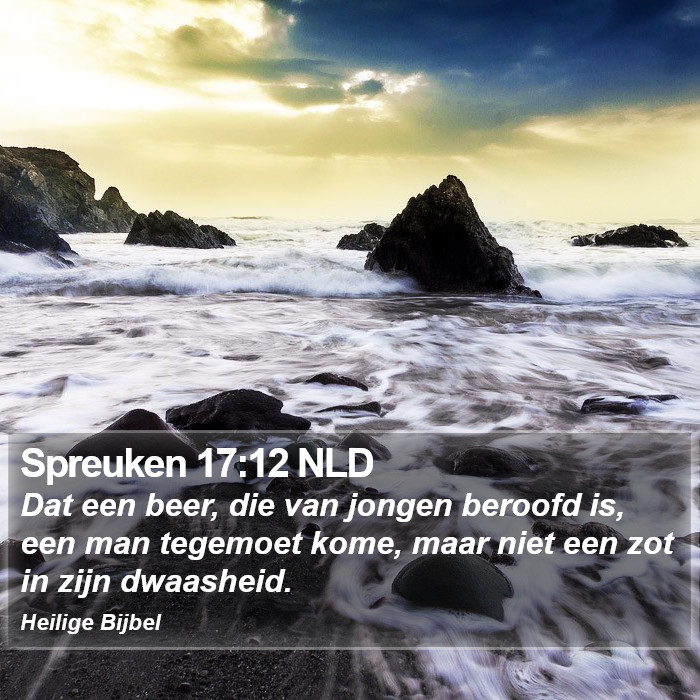 Spreuken 17:12 NLD Bible Study