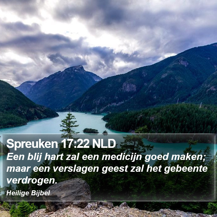 Spreuken 17:22 NLD Bible Study