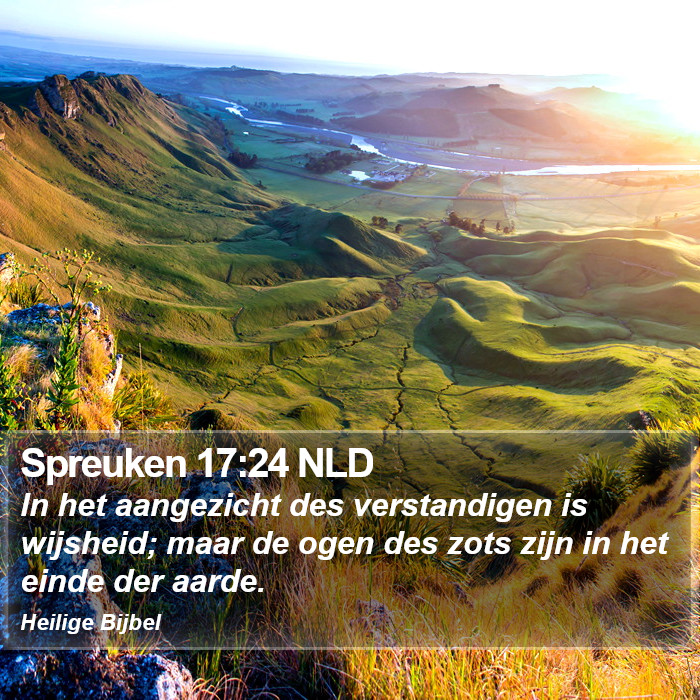 Spreuken 17:24 NLD Bible Study