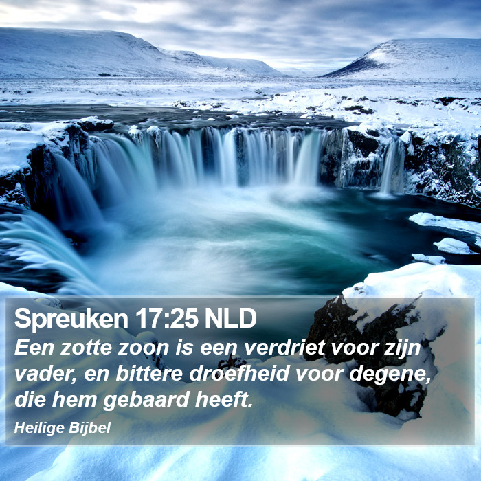 Spreuken 17:25 NLD Bible Study