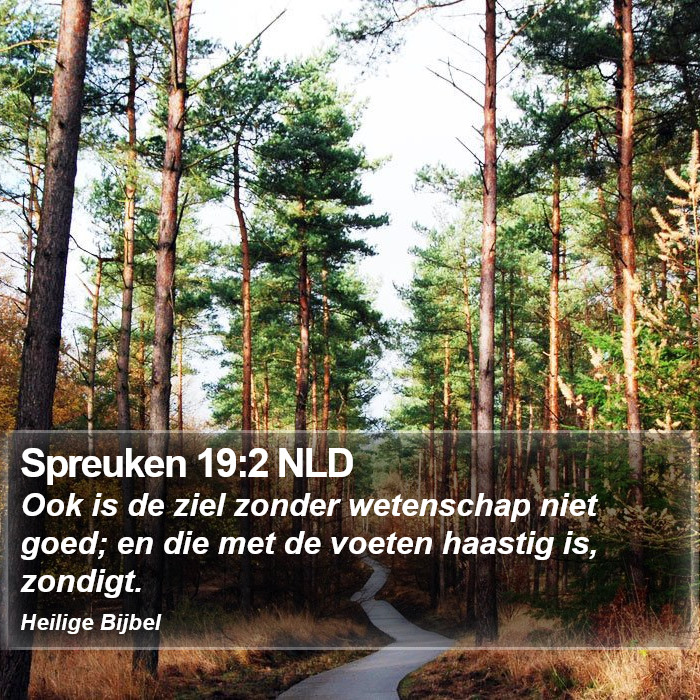Spreuken 19:2 NLD Bible Study