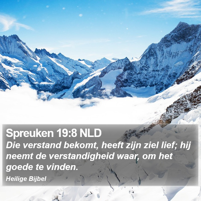 Spreuken 19:8 NLD Bible Study