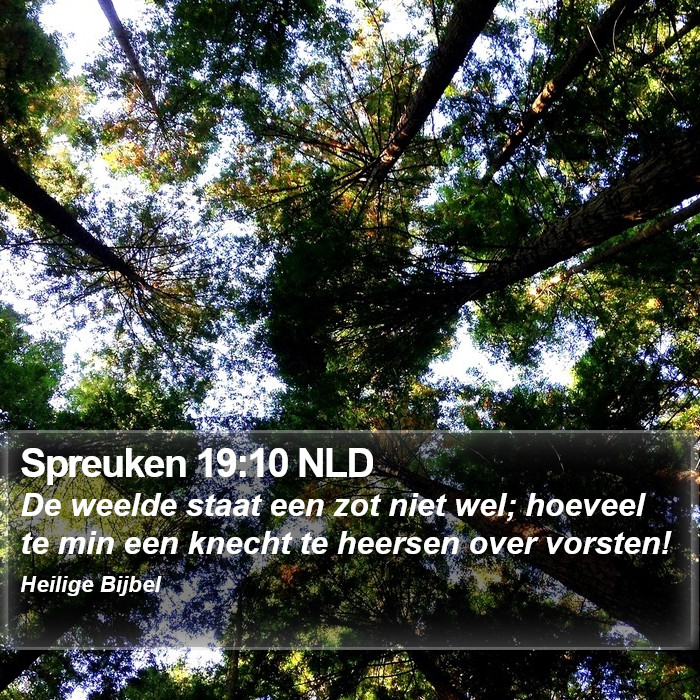 Spreuken 19:10 NLD Bible Study