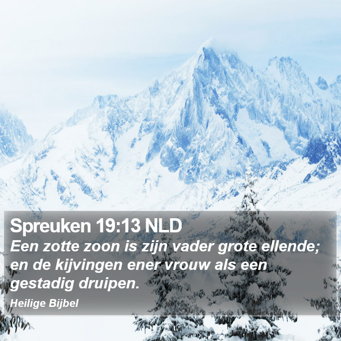 Spreuken 19:13 NLD Bible Study