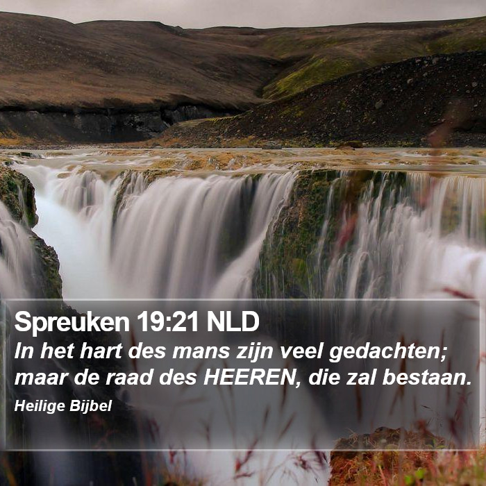 Spreuken 19:21 NLD Bible Study