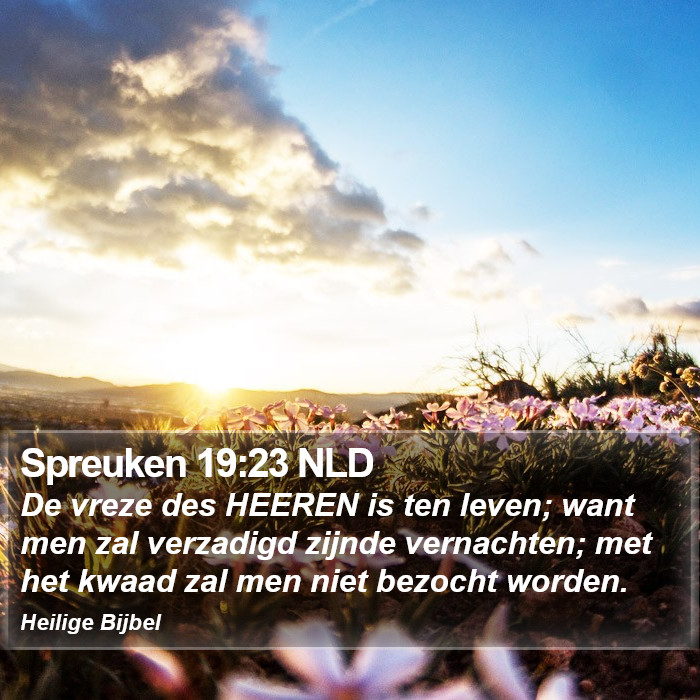 Spreuken 19:23 NLD Bible Study
