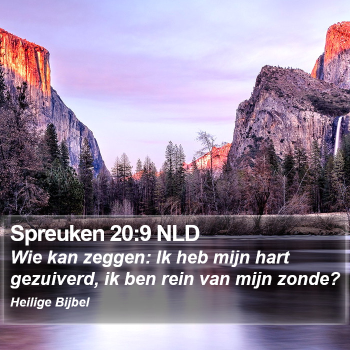 Spreuken 20:9 NLD Bible Study