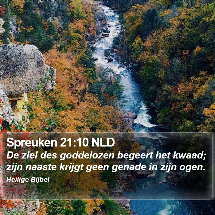 Spreuken 21:10 NLD Bible Study
