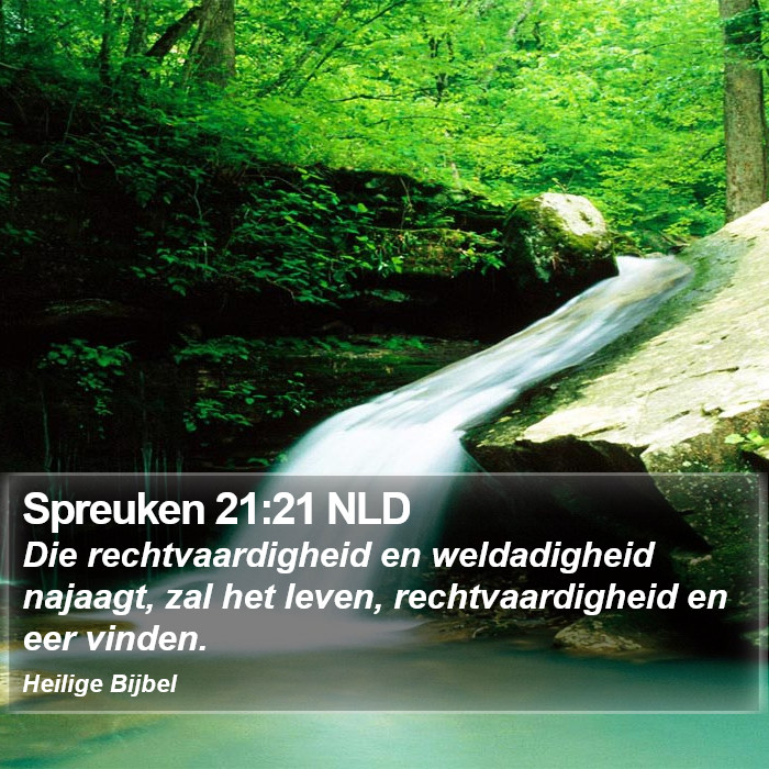 Spreuken 21:21 NLD Bible Study
