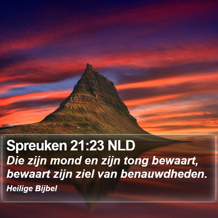 Spreuken 21:23 NLD Bible Study