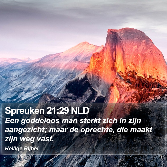 Spreuken 21:29 NLD Bible Study