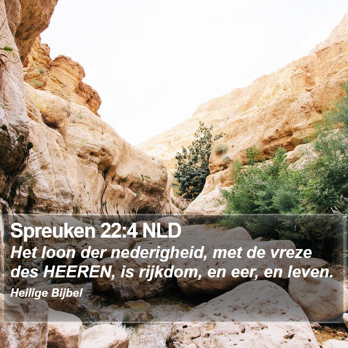Spreuken 22:4 NLD Bible Study
