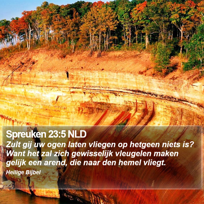 Spreuken 23:5 NLD Bible Study
