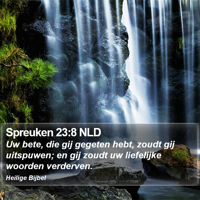 Spreuken 23:8 NLD Bible Study