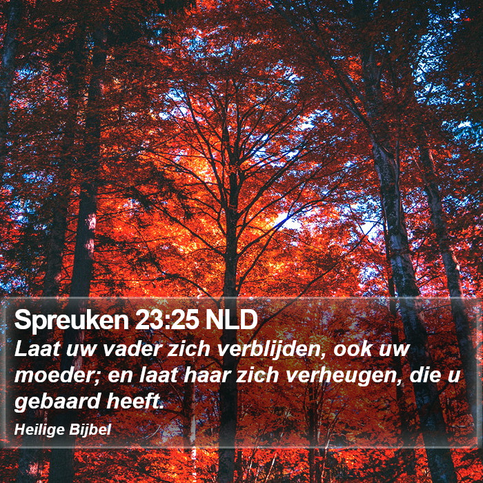 Spreuken 23:25 NLD Bible Study