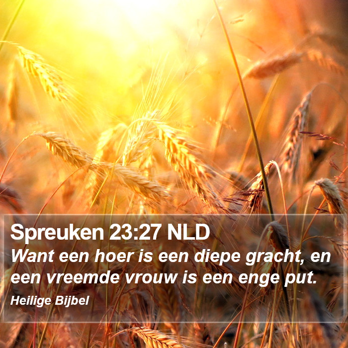 Spreuken 23:27 NLD Bible Study