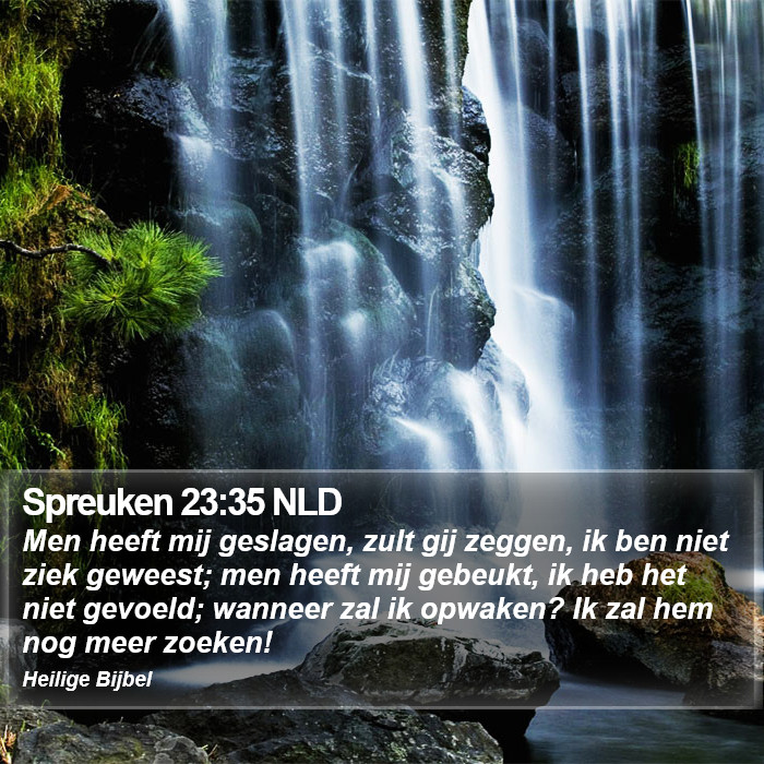 Spreuken 23:35 NLD Bible Study
