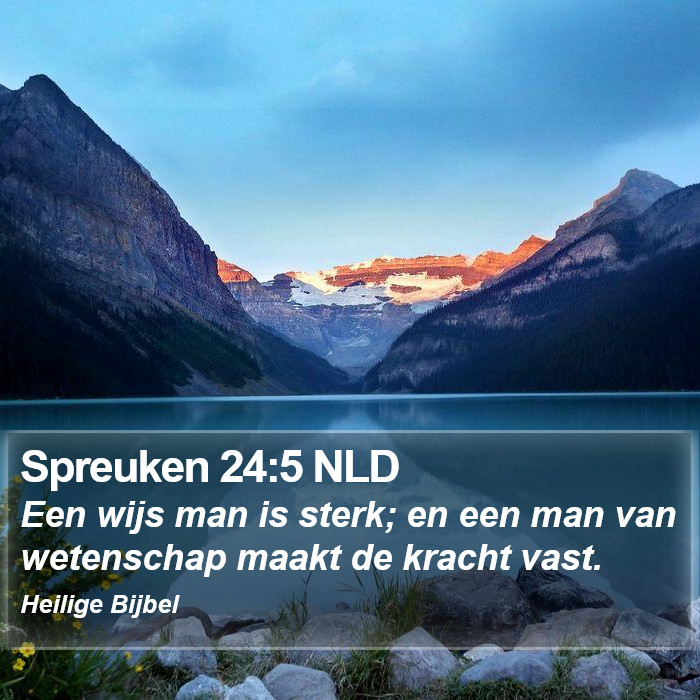 Spreuken 24:5 NLD Bible Study