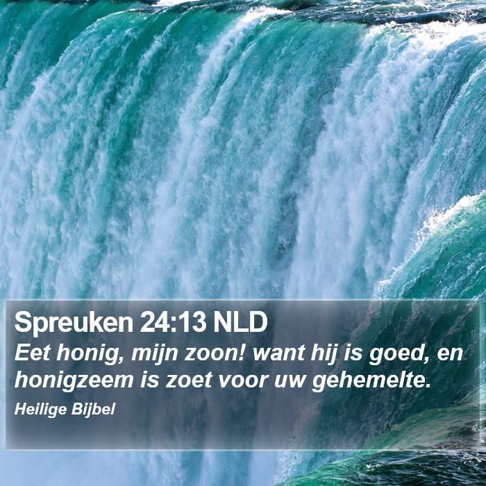 Spreuken 24:13 NLD Bible Study