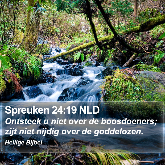 Spreuken 24:19 NLD Bible Study