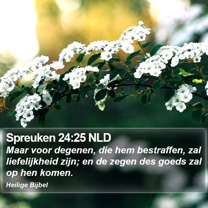 Spreuken 24:25 NLD Bible Study