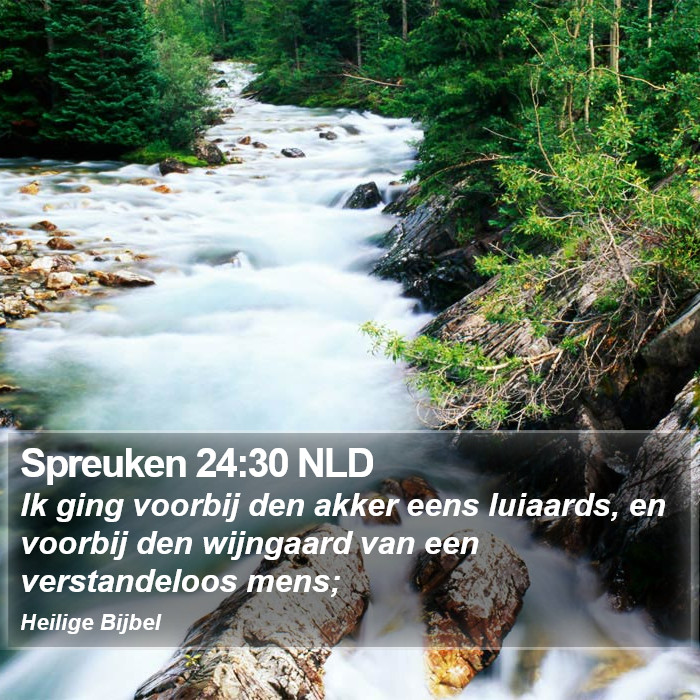 Spreuken 24:30 NLD Bible Study