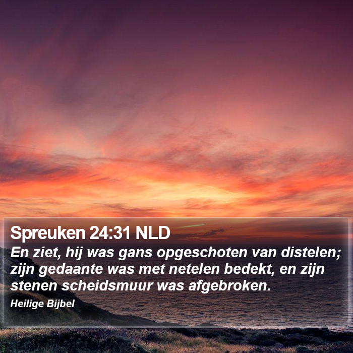 Spreuken 24:31 NLD Bible Study