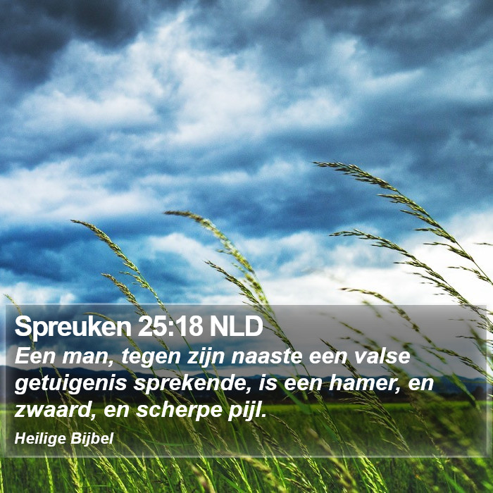 Spreuken 25:18 NLD Bible Study