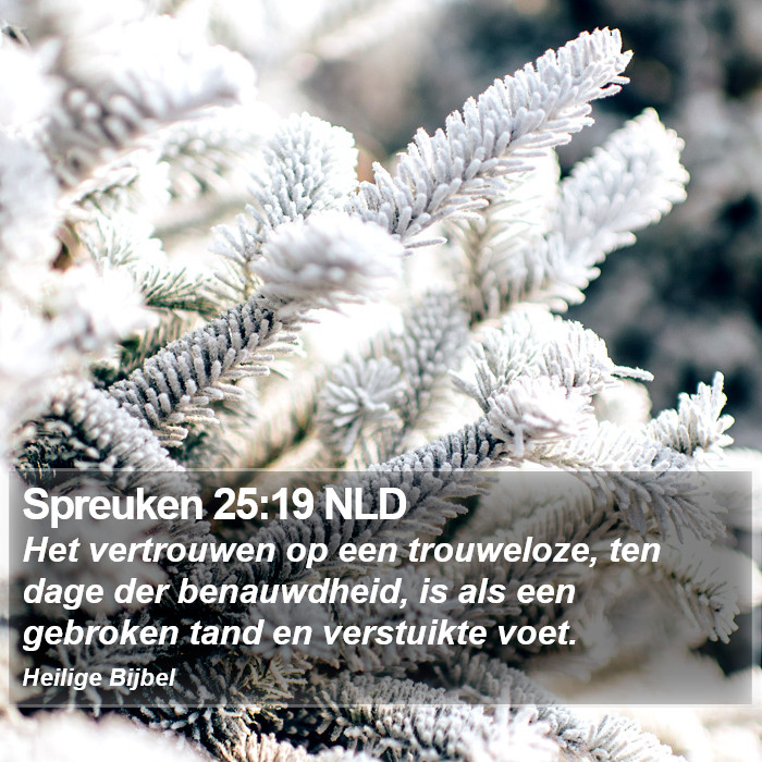 Spreuken 25:19 NLD Bible Study