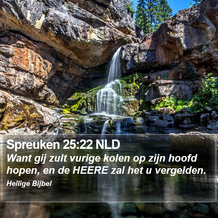 Spreuken 25:22 NLD Bible Study