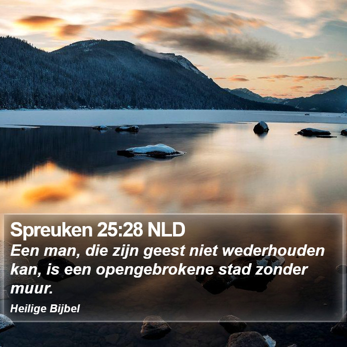 Spreuken 25:28 NLD Bible Study