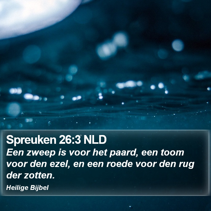 Spreuken 26:3 NLD Bible Study