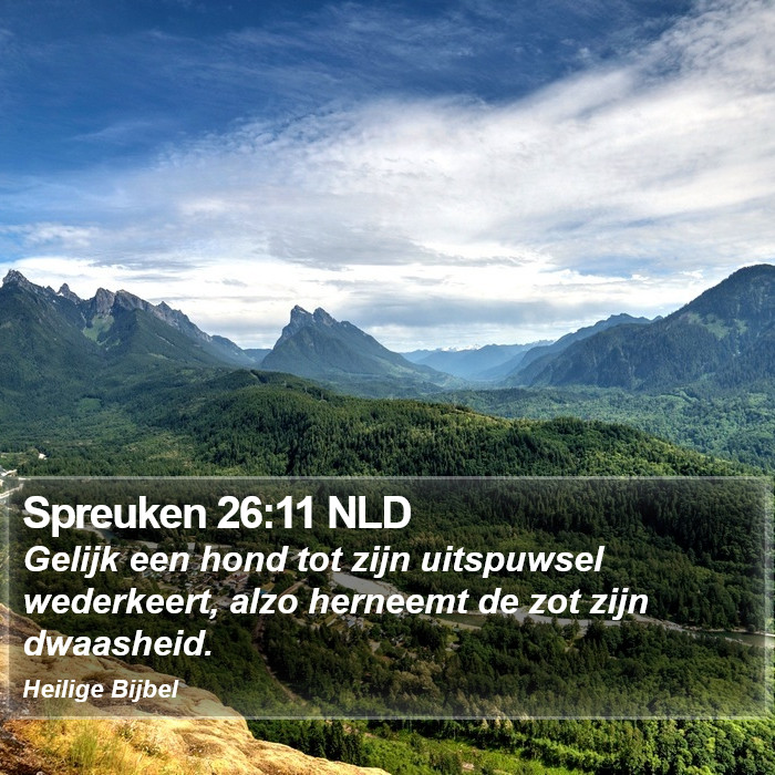 Spreuken 26:11 NLD Bible Study