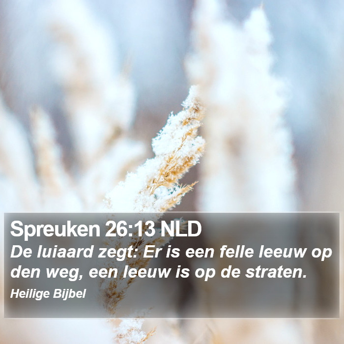 Spreuken 26:13 NLD Bible Study