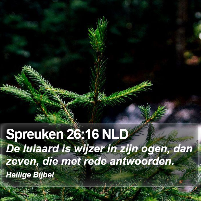 Spreuken 26:16 NLD Bible Study