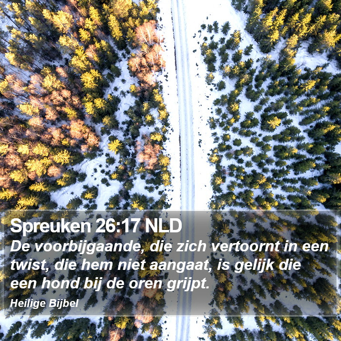 Spreuken 26:17 NLD Bible Study