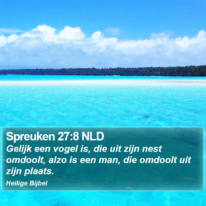 Spreuken 27:8 NLD Bible Study