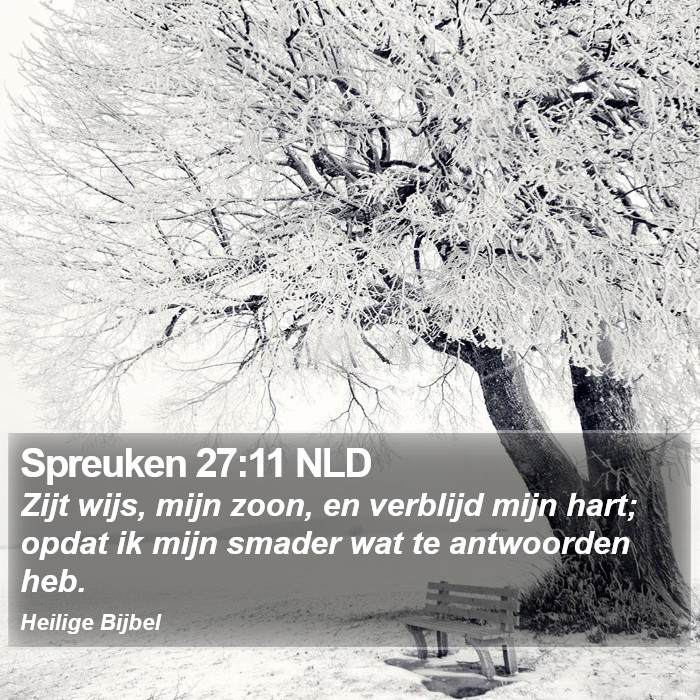 Spreuken 27:11 NLD Bible Study