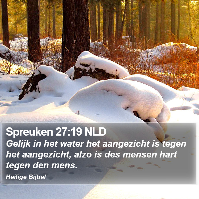 Spreuken 27:19 NLD Bible Study