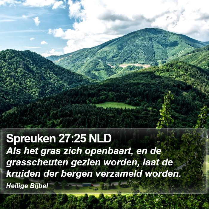 Spreuken 27:25 NLD Bible Study