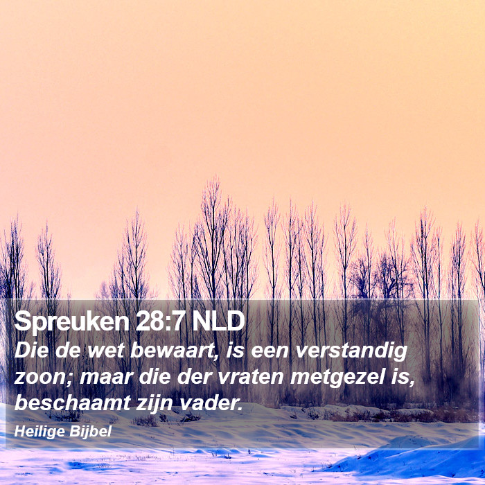 Spreuken 28:7 NLD Bible Study