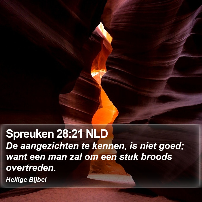 Spreuken 28:21 NLD Bible Study