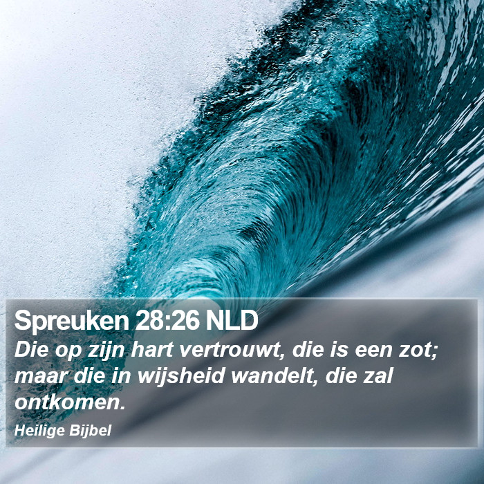 Spreuken 28:26 NLD Bible Study