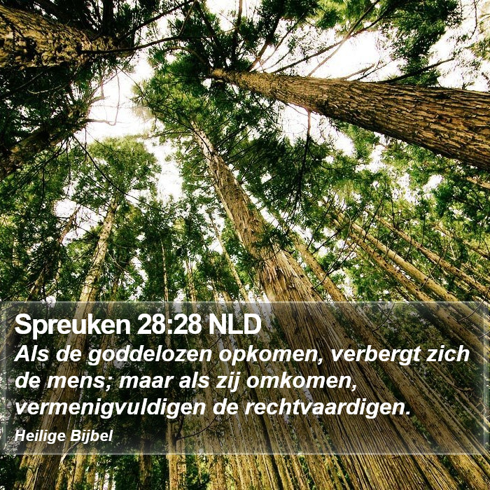 Spreuken 28:28 NLD Bible Study