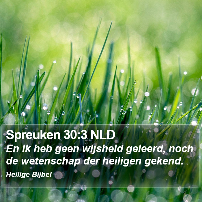 Spreuken 30:3 NLD Bible Study