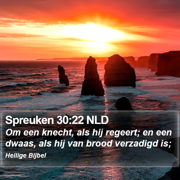 Spreuken 30:22 NLD Bible Study