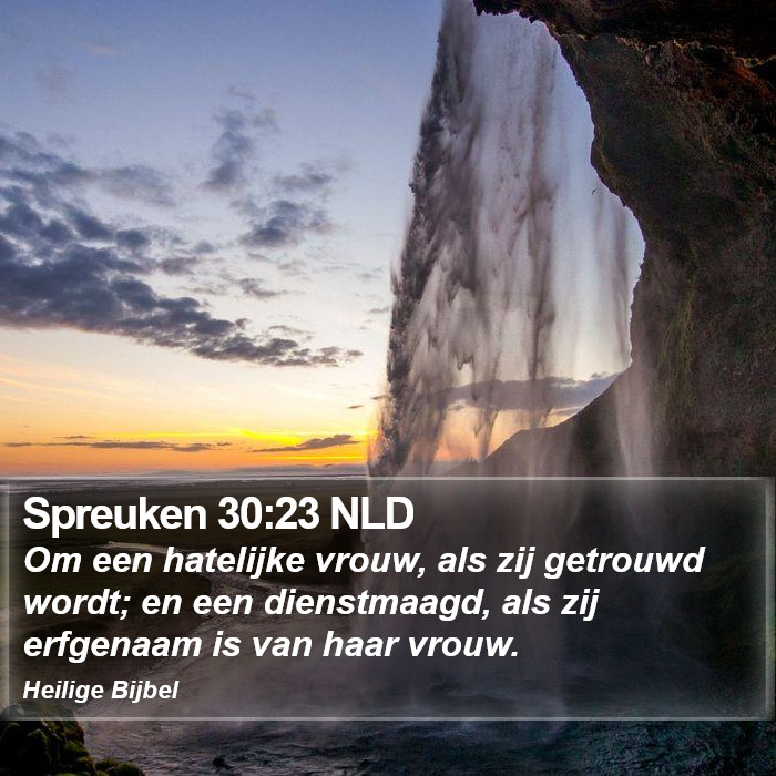 Spreuken 30:23 NLD Bible Study